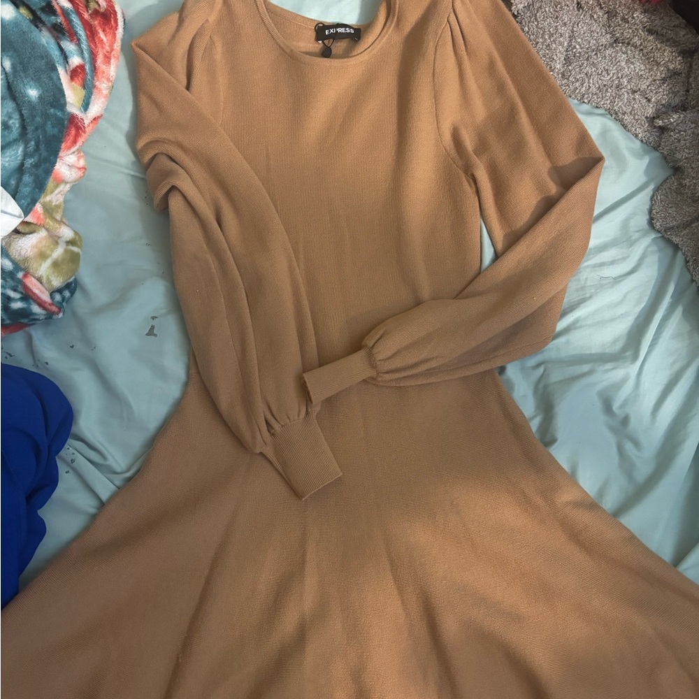 Express Brown Fit and Flare Dress with Bishop Sleeves